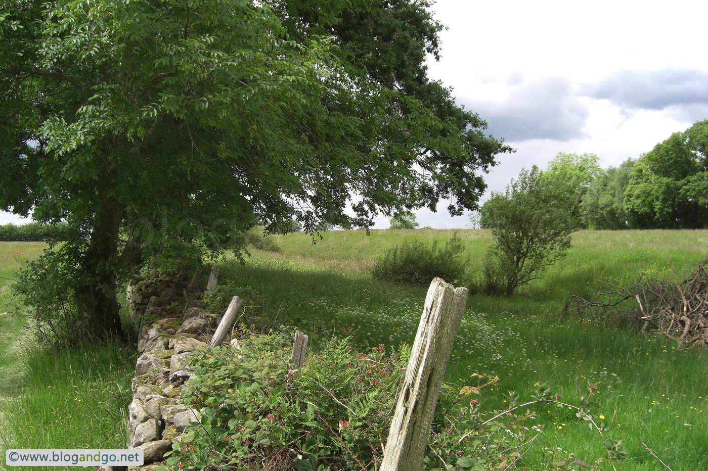 Hadrian's Wall Path - Ditch leading to Hare Hill